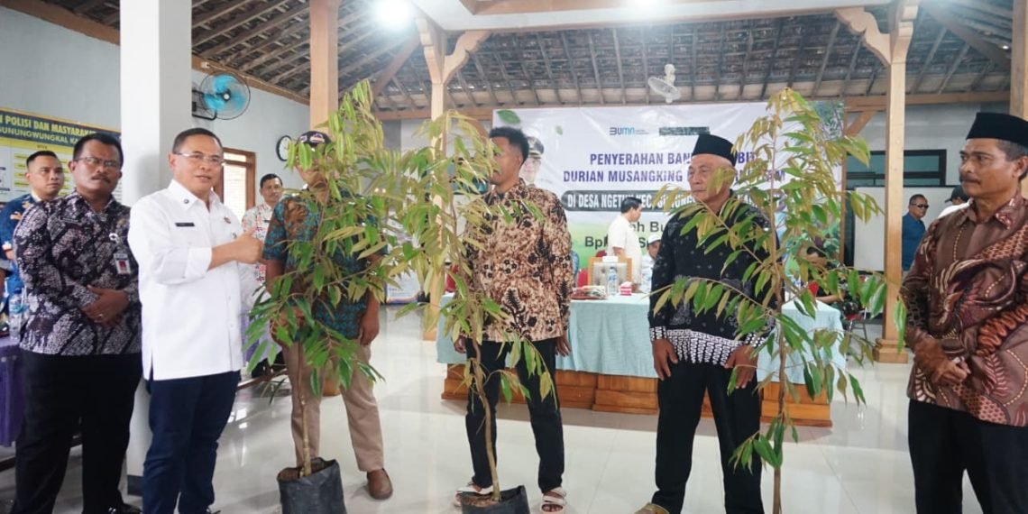 Dorong Ekonomi Desa, Bupati Sudewo Kembali Salurkan Ribuan Bibit Durian Premium