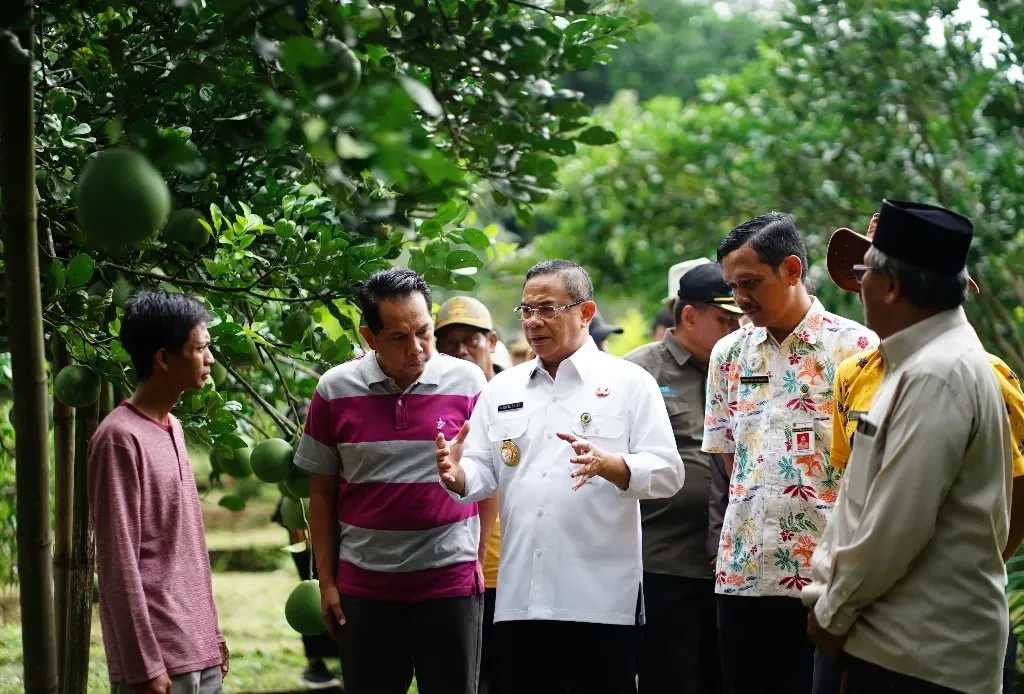 Dari Gembong untuk Indonesia, Bupati Sudewo Angkat Pamelo, Tape, dan Kopi Unggulan Pati